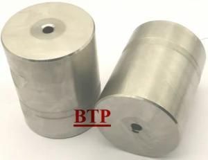 Tungsten Alloy Cold Forming Punch for Fastener (BTP-P093)