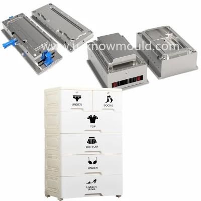 China Manufacturer Drawer Mold Storage Closet Mould
