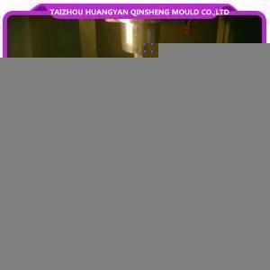 Plastic Automobile Light Mould