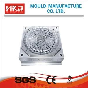 Plastic Thin Wall Injection Mould