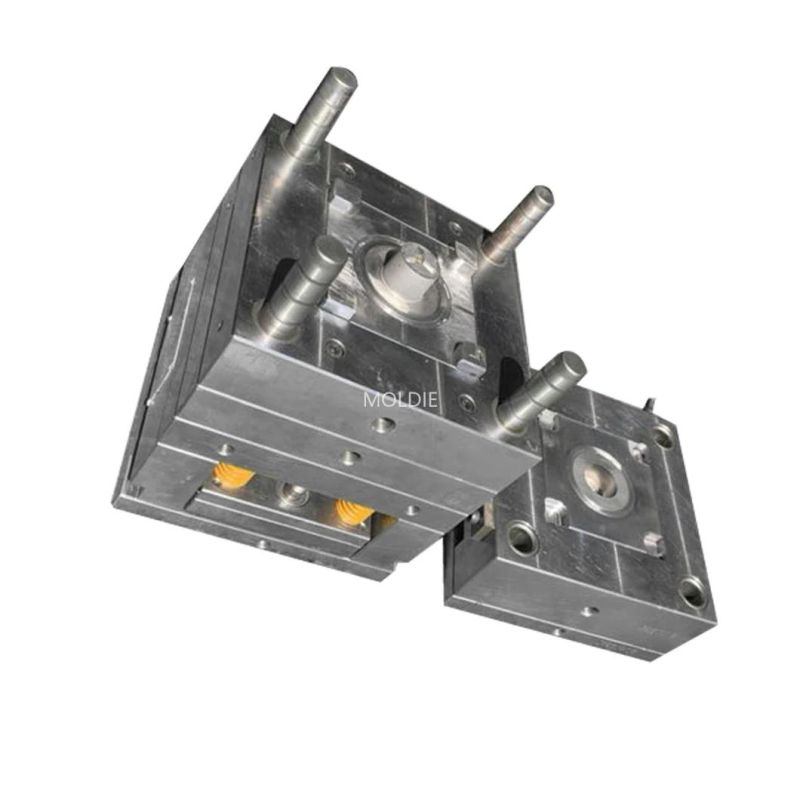Customized/OEM ABS Material Plastic Injection Moulding Cover Mold