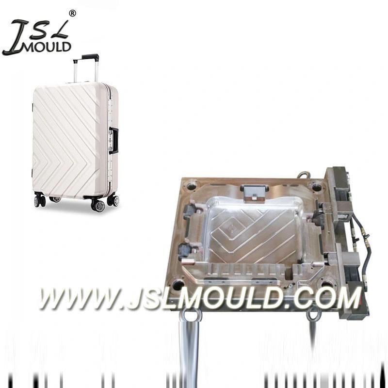 Taizhou Professional Plastic Luggage Case Mould