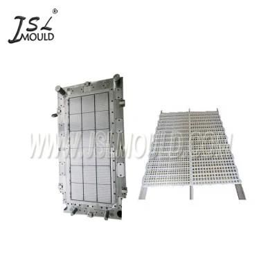 Taizhou Mold Factory Quality Injection Plastic Broiler Chicken Plastic Slat Floor Mould