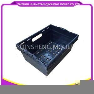 Plastic Injection The Leak Carrying Case Mould