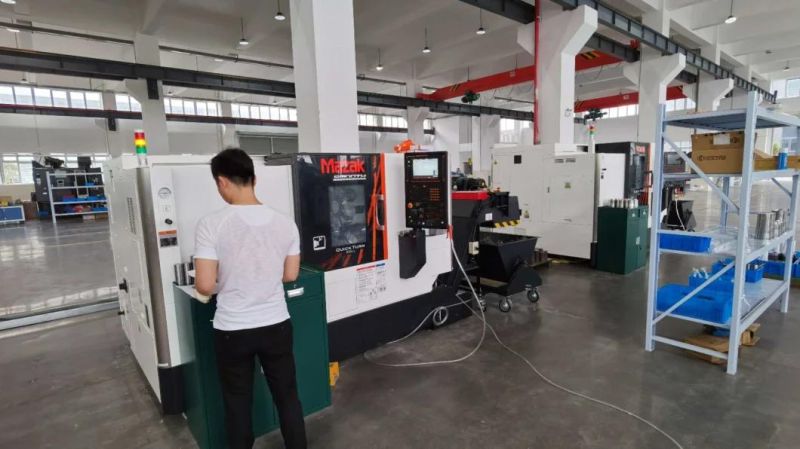 Plastic Food Packaging Container Injection Mould