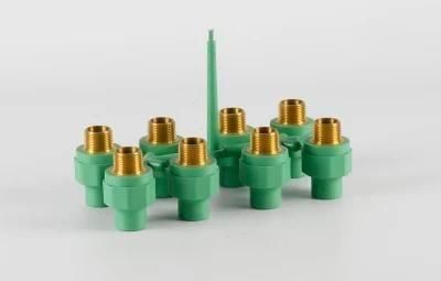 PPR Female Adaptor Mould/Mold
