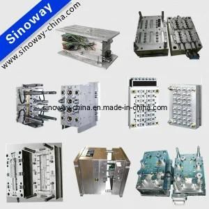 China Professional Plastic Injection Mold Manufacturer
