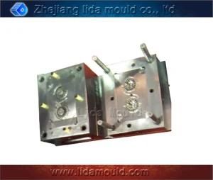 Hight Precision Plastic Injection Mold (E1004S)