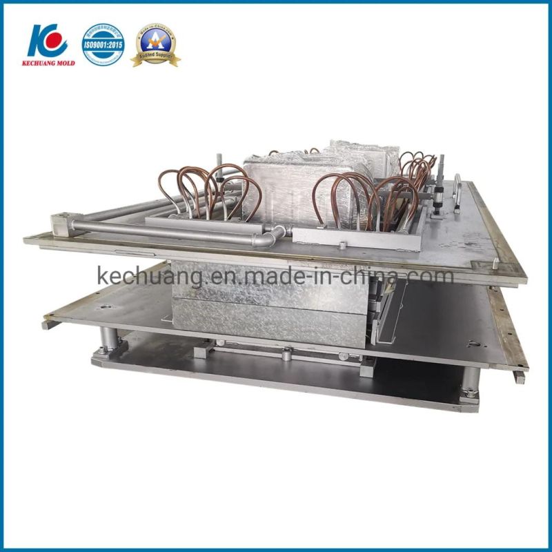 Plastic Forming Mold for Freezer Door Body