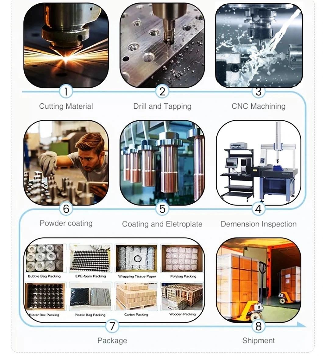 Tungsten Carbide High Precision Auto Parts for The Puncher Mould