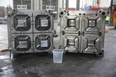 OEM Custom Design Injection Mould 1800ml Container Box Mould