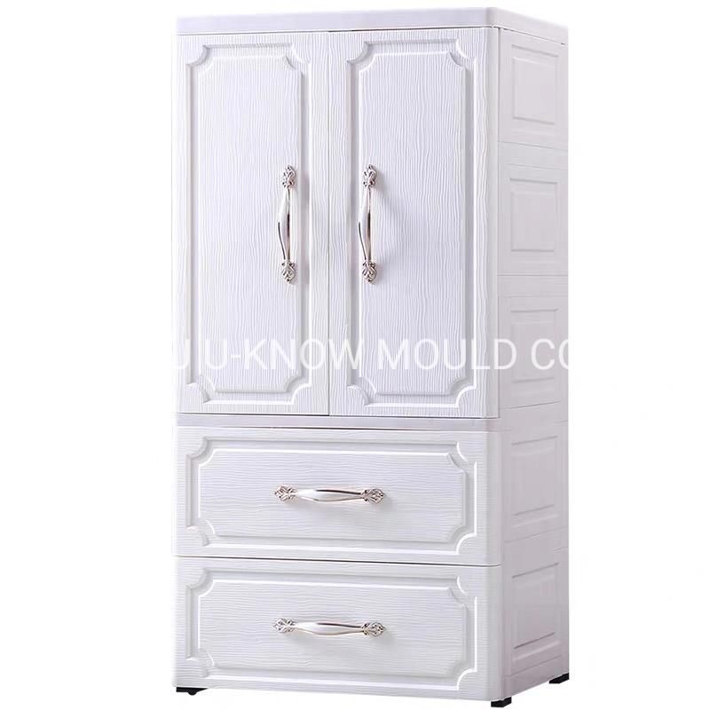 Plastic Wardrobe Injection Mould Drawer Mold