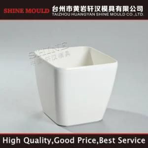 China Shine Home Appliance Flower Pot Plastic Injection Mould