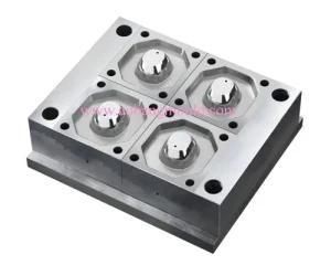 Plastic Injection Mould-1