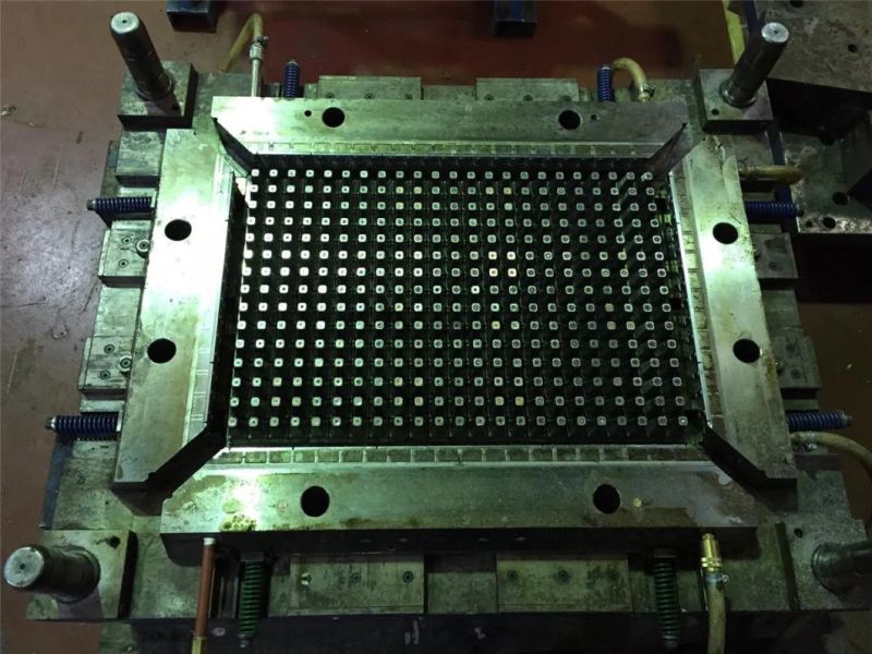 Plastic Injection Mold for PE Tray