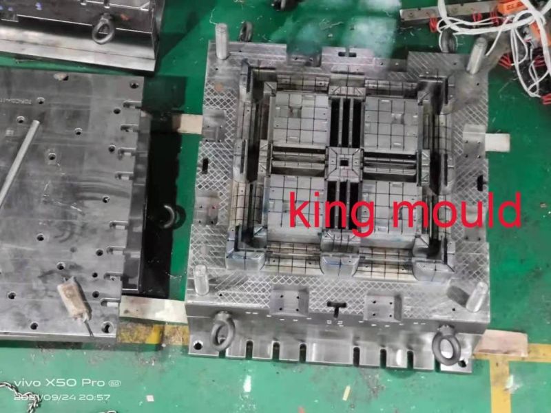 Plastic Injection Industrial Double Side Pallet Mould Plastik Palet Mold
