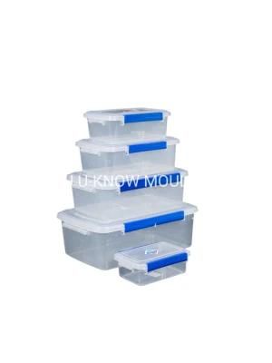 Plastic Crisper Mold Special Lunch Box Injection Mould for Microwave Oven