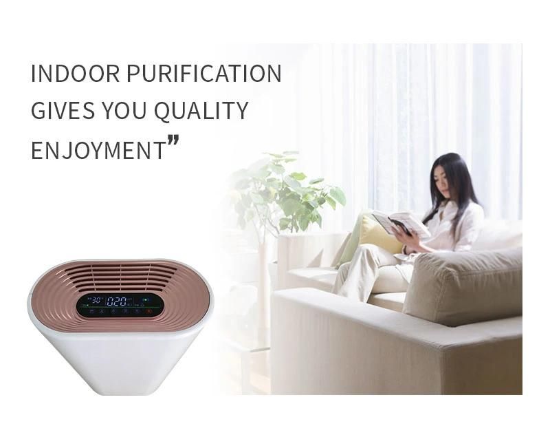 OEM Size Plastic Injection Mold/Molding/Moulding Products Air Purifier Plastic Mould