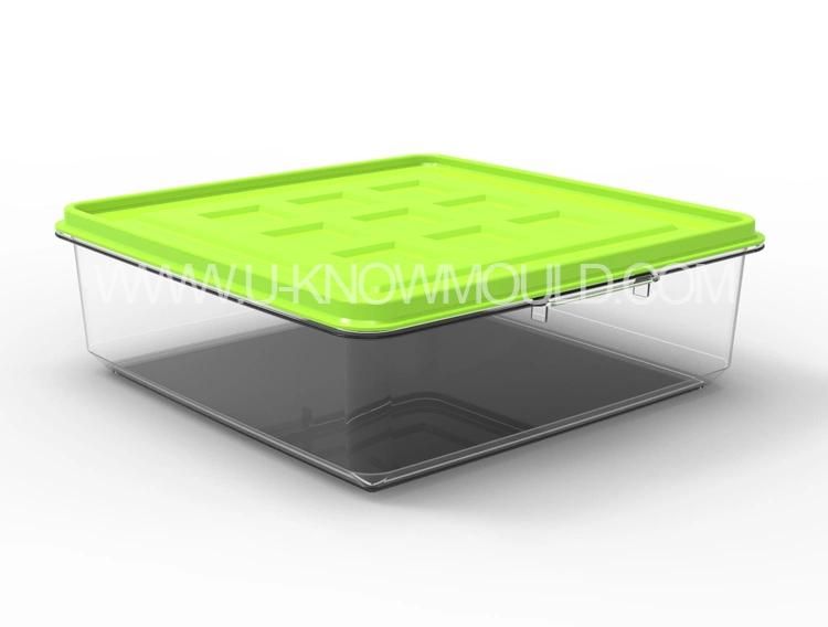 Home Use Food Container Mould Plastic Houseware Mold