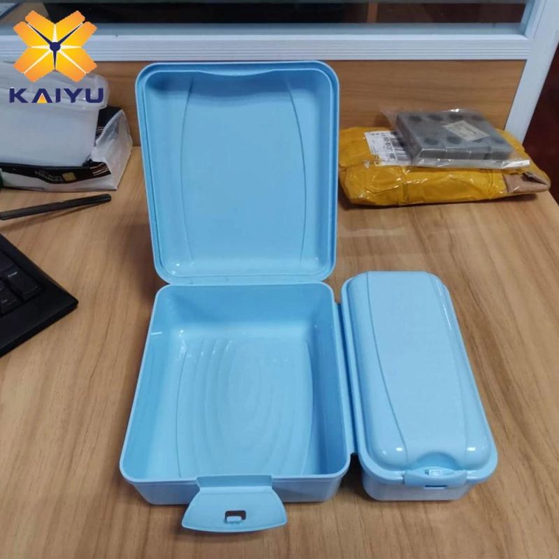 Double Cabin Food Container Mould Injection Molding Plastic Box with Beiutiful Dermatoglyphics