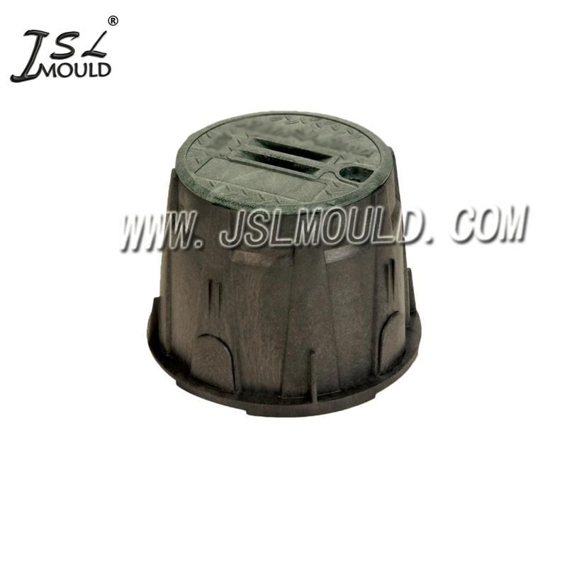 Professional Manufacture Quality Plastic Water Valve Box Mould