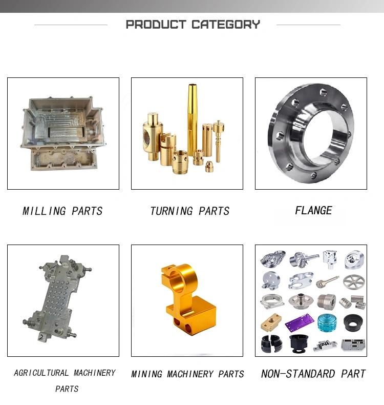 ISO9001 Factory Provide Progressive Stamping Molds Stamping Dies