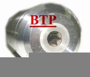 High Precision Flower Teeth Screw Mould (BTP-D379)