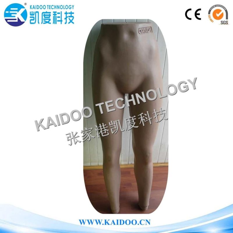 Plastic Model /Plastic Mannequin Blow Mould/Blow Mold