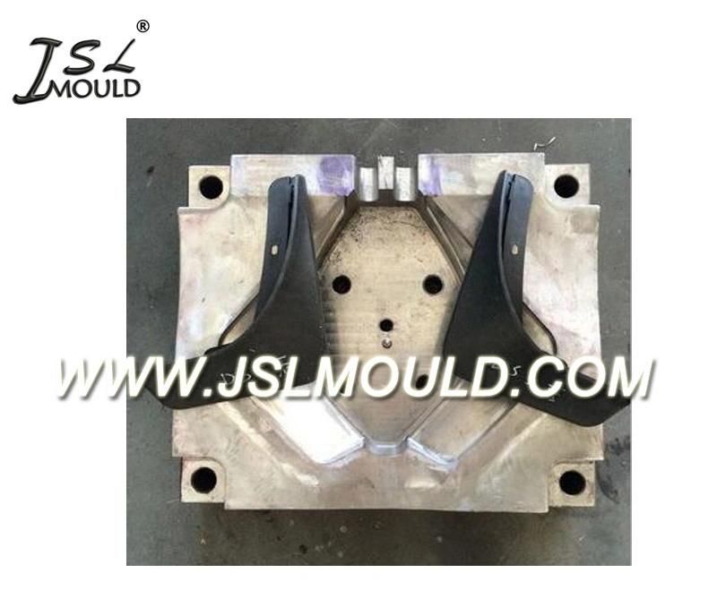 High Quality OEM Injection Car Plastic Mud Flap Mould