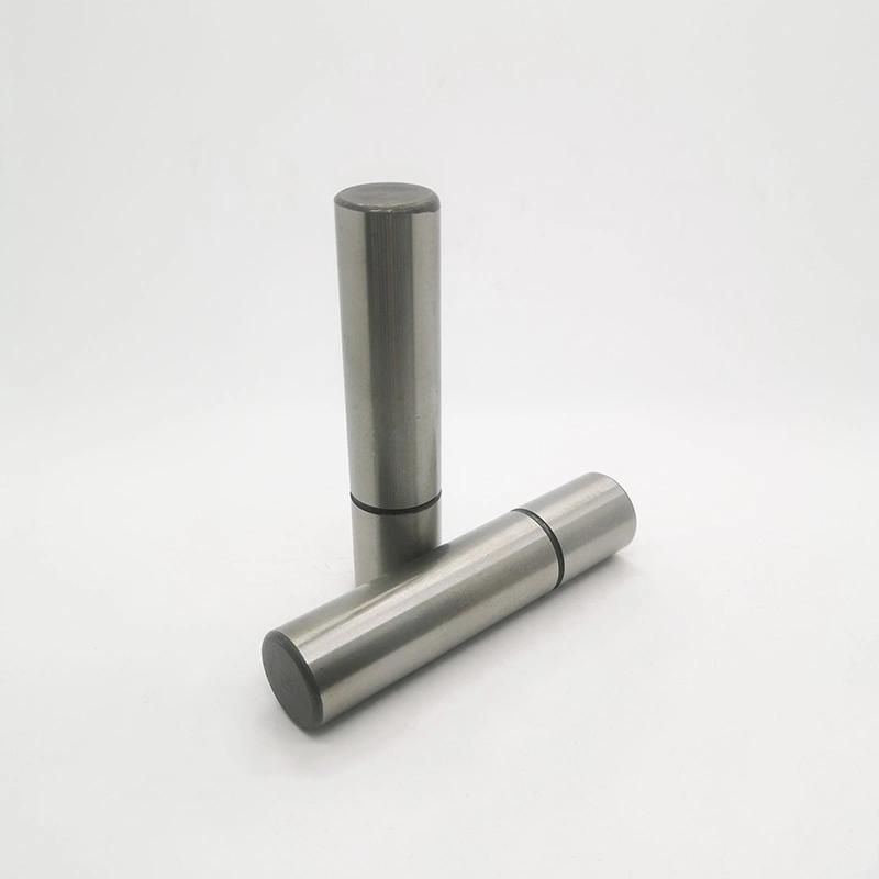 Sgpn Straight Rod Type Guide Post