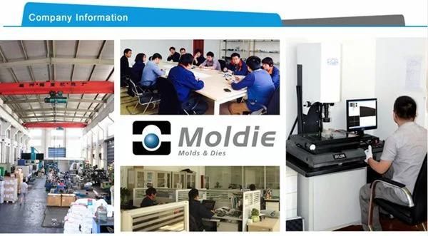 Customized/Designing Plastic Injection Mold for Car Parts