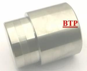 Best Price Carbide Cold Forging Tool Fastener Punch (BTP-P176)
