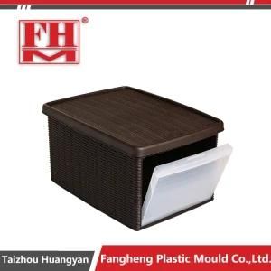 Rattan Storage Box Mould