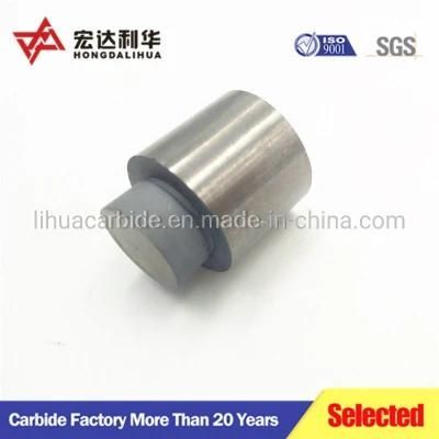 Tungsten Carbide Die for Press Instrument