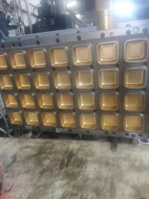 Plastic Jelly Plastic Water Cup Thermoforming Mould Manufacturer