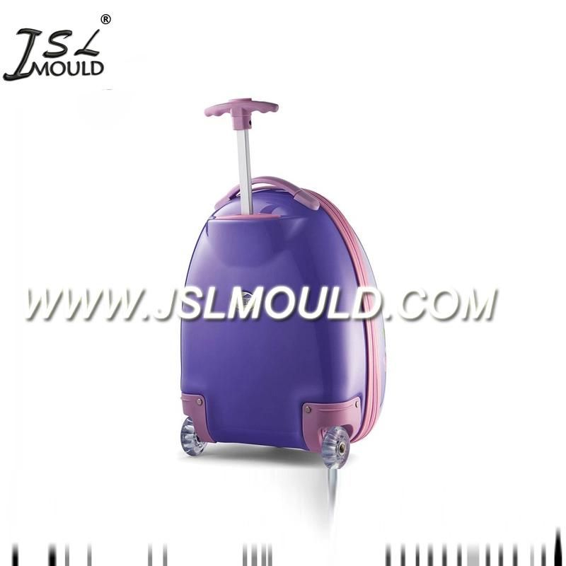 Taizhou Professional Plastic Luggage Case Mould