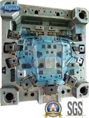 Plastic Injection Mould/Tooling for VW Door Panel for 20 Years