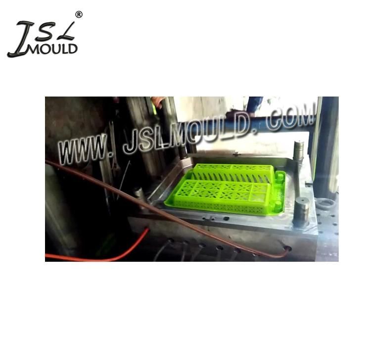 China High Quality Plastic Dish Drainer Mould