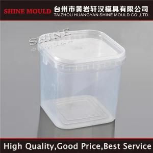 China Shine Transparent Food Keeper Injection Plastic Mould