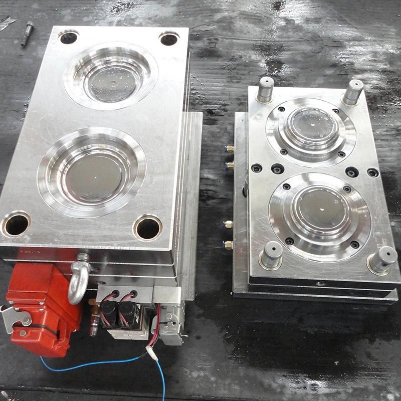 Injection Mold for The Toothbrush