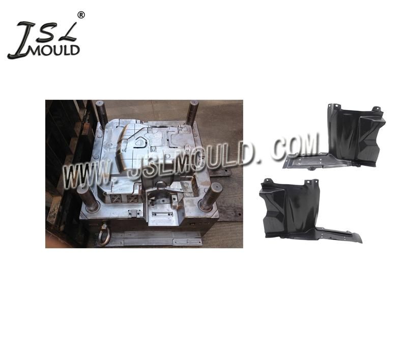 High Quality Plastic Auto Front Mud Guard Mould