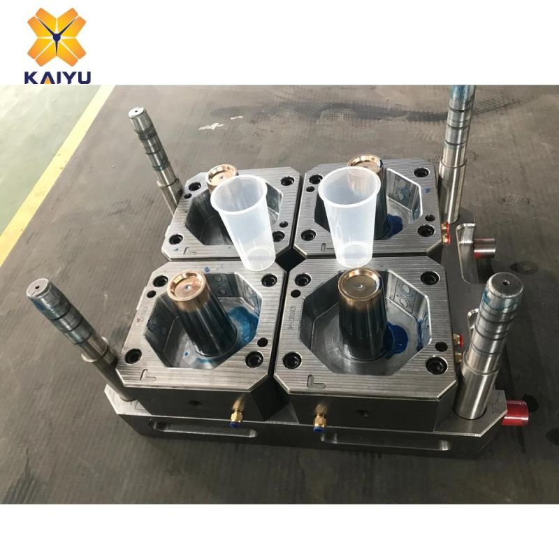 Plastic Product Part Injection Mould