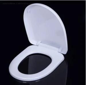 Customized Plastic Injection Toilet Seat and Injection Mould Manufacturer