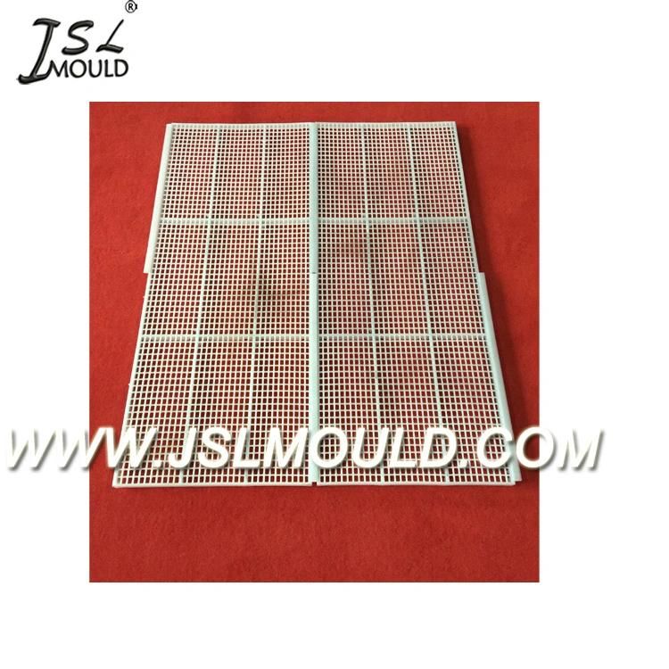 Injection Boiler Chicken Plastic Slat Floor Mold