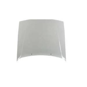 OEM Battery Electric Fiberglass / New Energy Car Engine Hood Mould