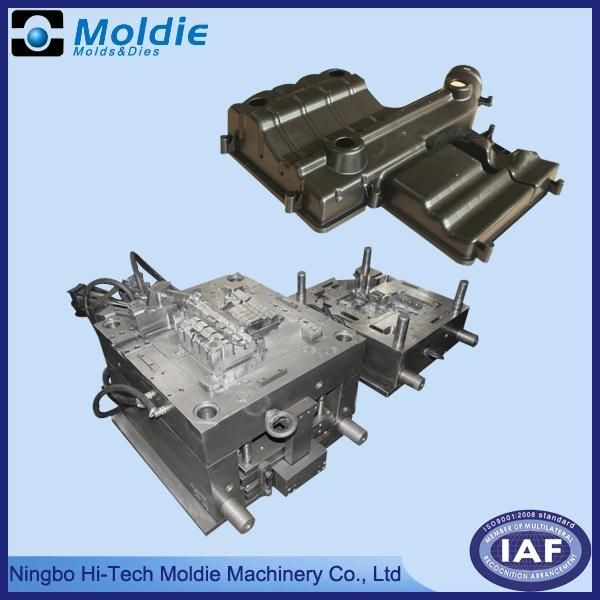 Customized/Designing Plastic Injection Mould for Accurate Auto Filter (VW)