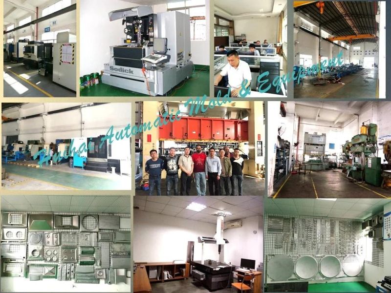 Progressive Stamping Mold of Auto