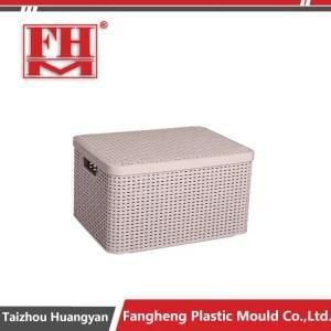 Plastic Injection Rattan Storage Box Container Mould Different Size