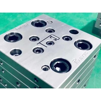 Customized Plastic Extrusion Mould Die for PVC Label Holder