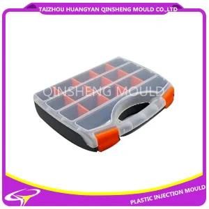 Plastic Injection Tool Case Mould